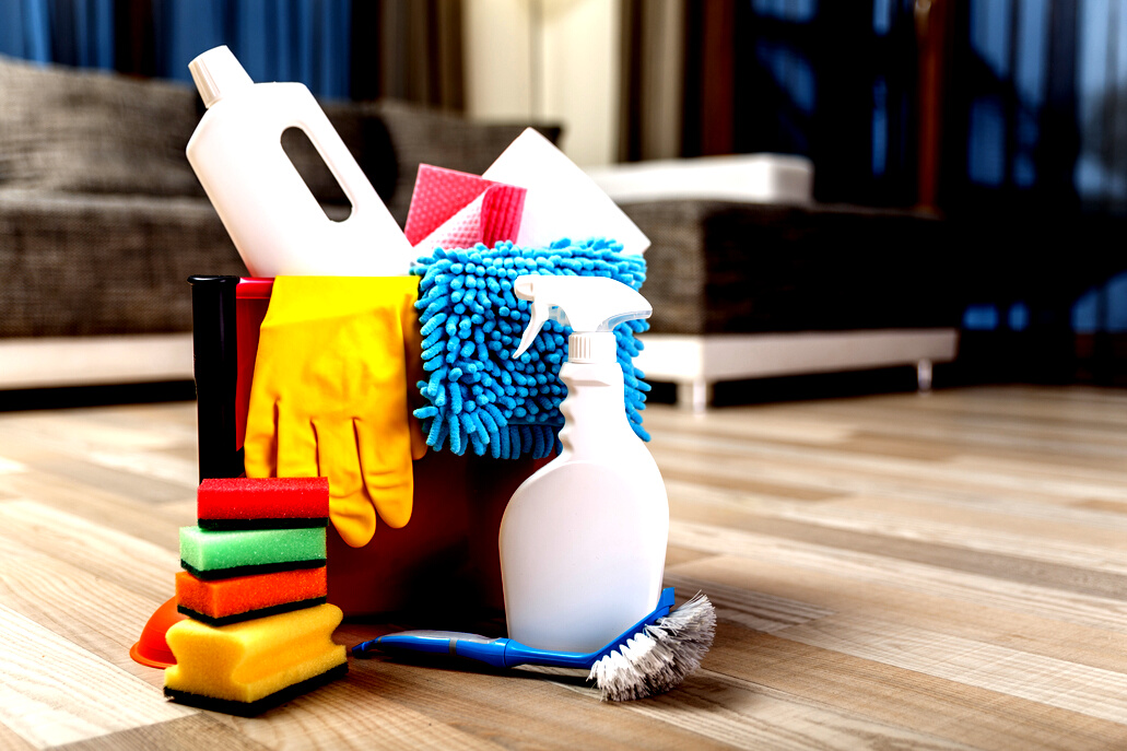 Cleaning service. Sponges, chemicals and plunger.